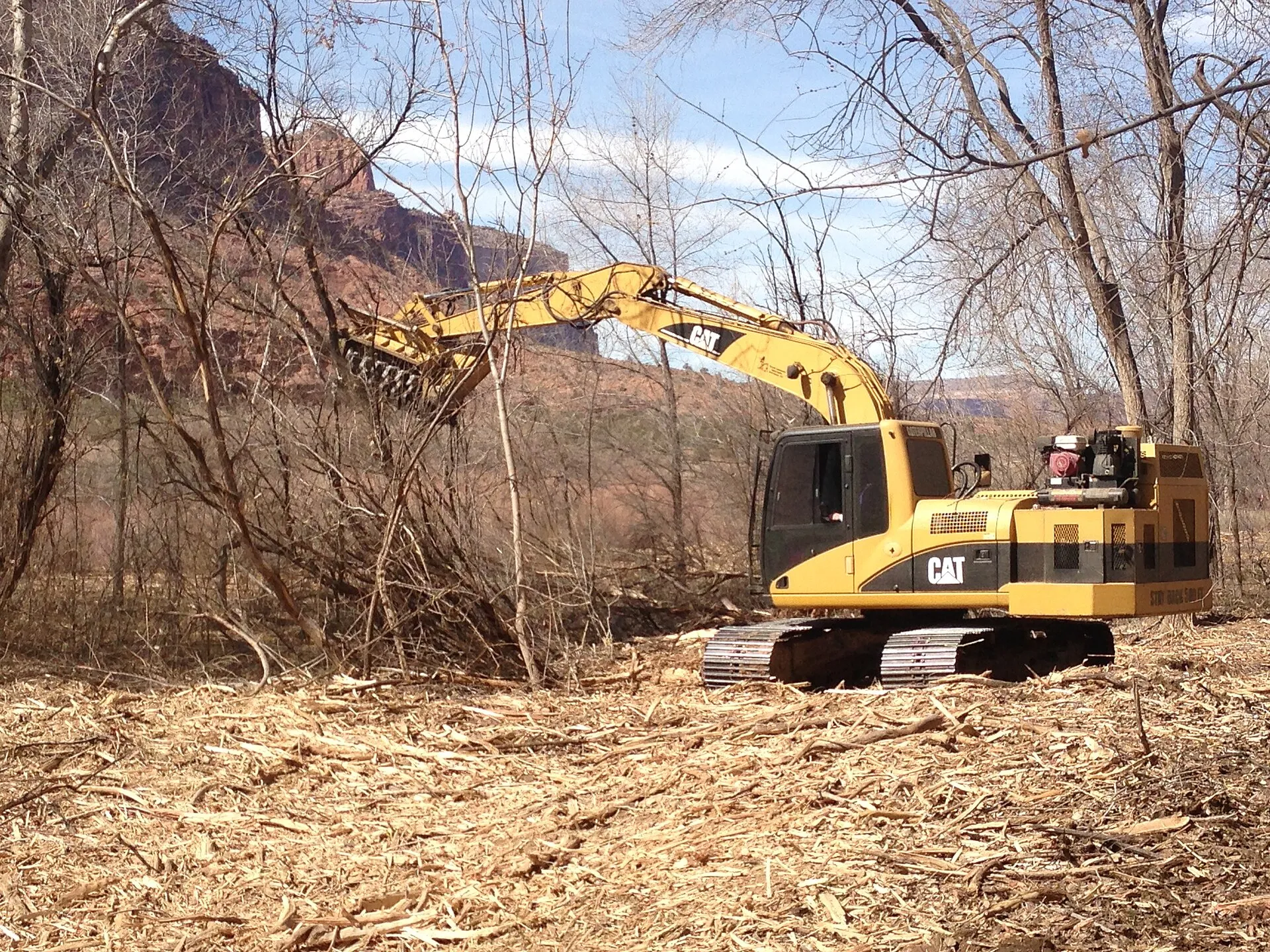 Forestry mulcher grinding underbrush into mulch on a Montgomery County property